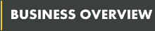 Business Overview